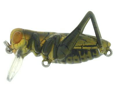 G-Hope Crank color 01