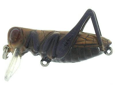 G-Hope Crank color 02