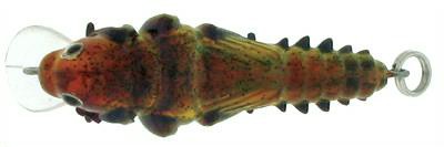 Mayfly Minnow color 05