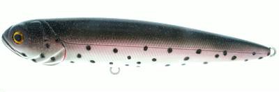 Rover 230 color S25A