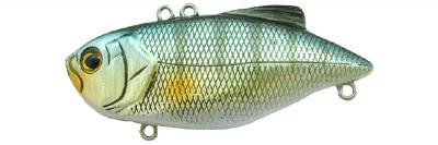 Twin Vibe color HB01