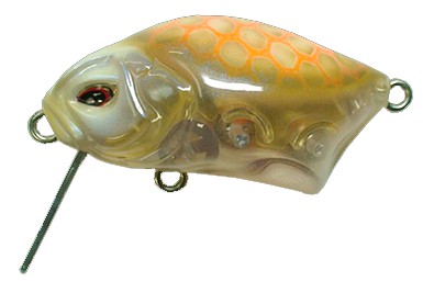 Calappa color Albino Game