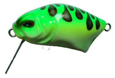 Calappa color Bell Frog