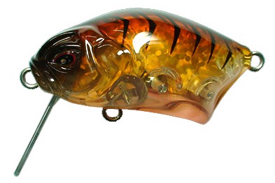 Calappa color Brown Cicada