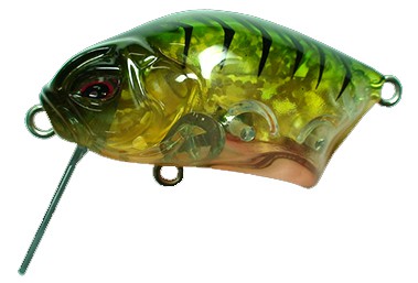 Calappa color Green Cicada