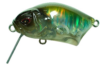 Calappa color Oikawa