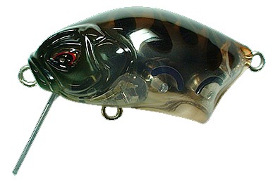 Calappa color Poison Frog