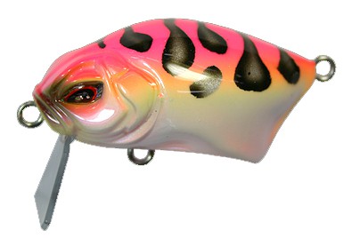 Micro Calapa color Bacchus Frog