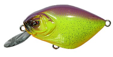 Vodka color Crazy Panini