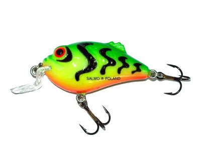 Boxer Shallow Runner color GT