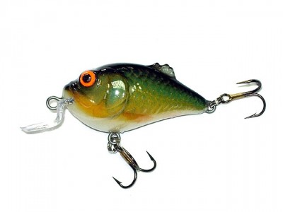 Boxer Shallow Runner color RR