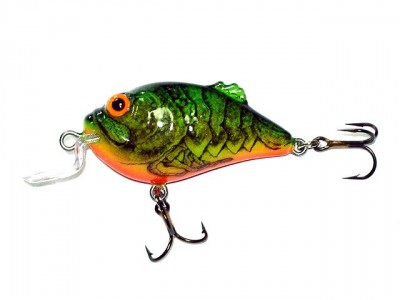 Boxer Shallow Runner color YC