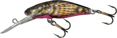 Bullhead color SBD