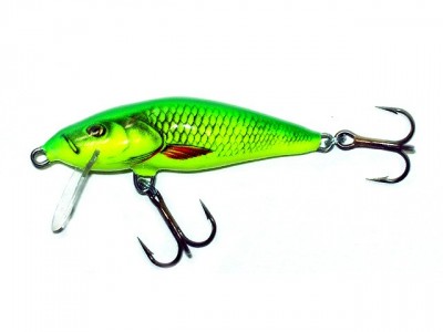 Bullhead color YD