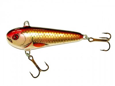 Chubby Darter color CG