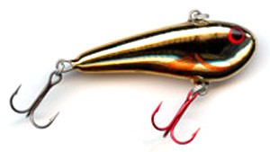 Chubby Darter color GF