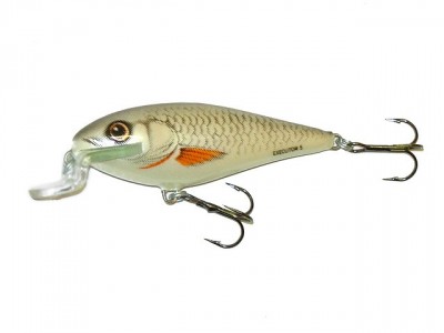 Executor Shallow Runner color D