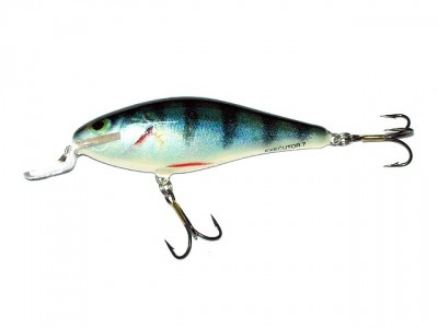 Executor Shallow Runner color RPH