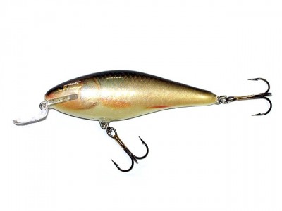 Executor Shallow Runner color RR