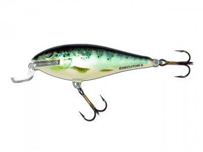 Executor Shallow Runner color RTR