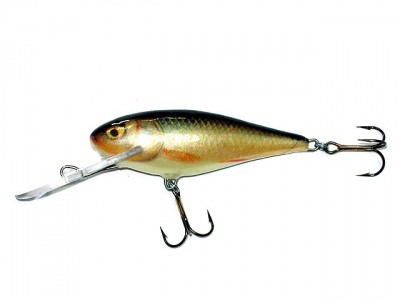 Executor Super Deep Runner color RR