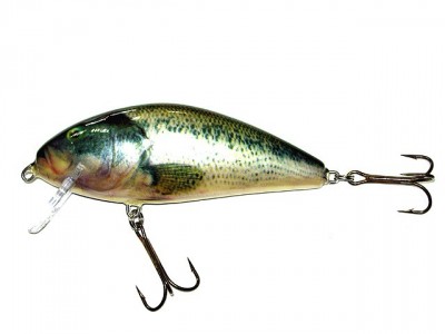 Fatso Crank color RBS