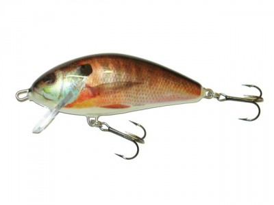 Fatso Crank color RS