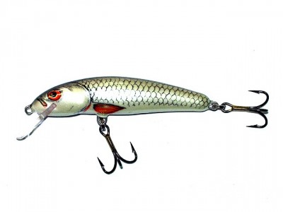 Minnow color D