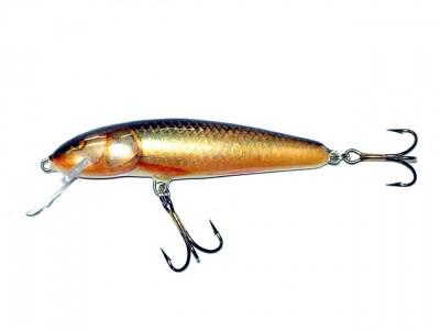 Minnow color RR