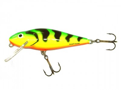 Perch color GT