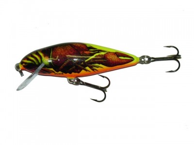 Perch color HCW