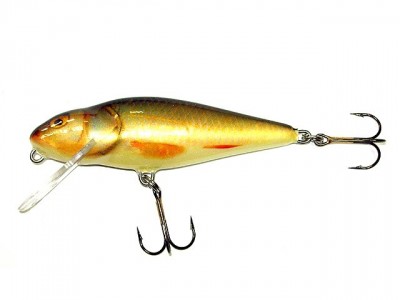 Perch color RR