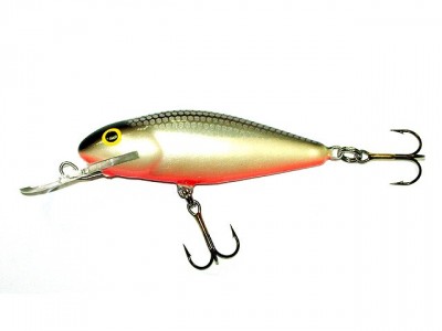 Perch Deep Runner color GS