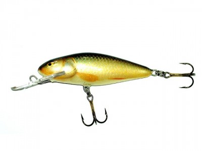 Perch Deep Runner color RR