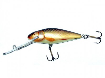 Perch Super Deep Runner color RR