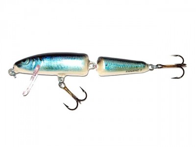 Salmo Fanatic color RSM