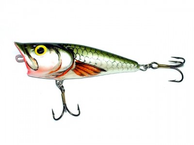 Salmo Pop color SH