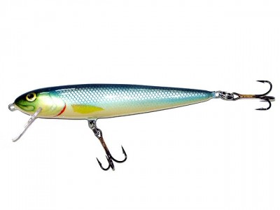 Salmo Whitefish color BS