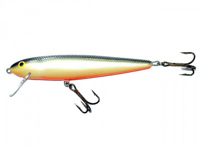 Salmo Whitefish color GS