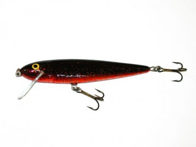 Salmo Whitefish color SNO