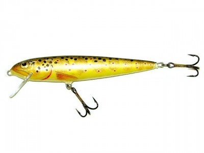 Salmo Whitefish color T