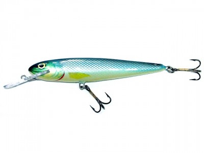 Salmo Whitefish Deep Runner color BS