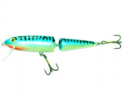 Salmo Whitefish Jointed color MB