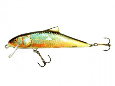 Skinner color RR