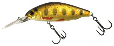 Diving Prey color 37