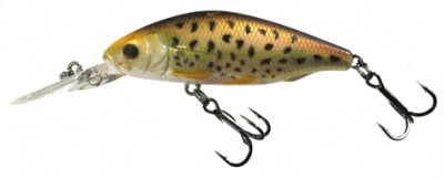 Diving Prey color 46