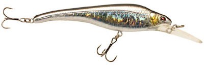 Acast minnow medium lip color 