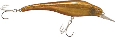Acast minnow medium lip color DD