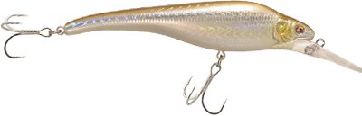 Acast minnow medium lip color F2