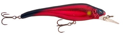 Acast minnow short lip color 